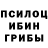 Псилоцибиновые грибы Psilocybine cubensis Misael xp