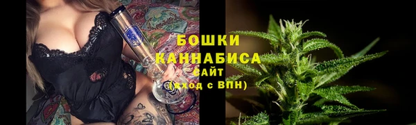 твердый Аркадак