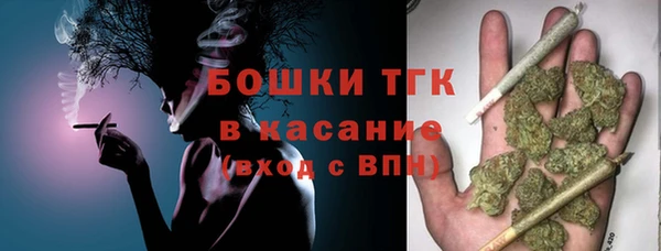 твердый Аркадак