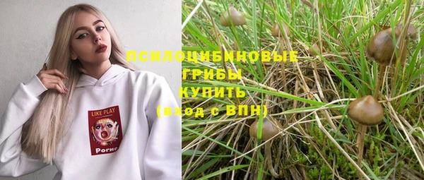 шишки Армянск