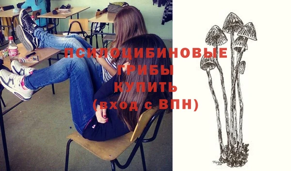 шишки Армянск