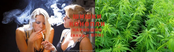 твердый Аркадак