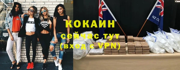 твердый Аркадак