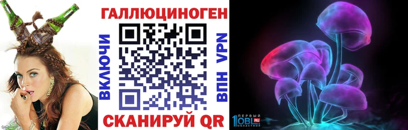 Псилоцибиновые грибы Psilocybe  Купить  Нерюнгри 